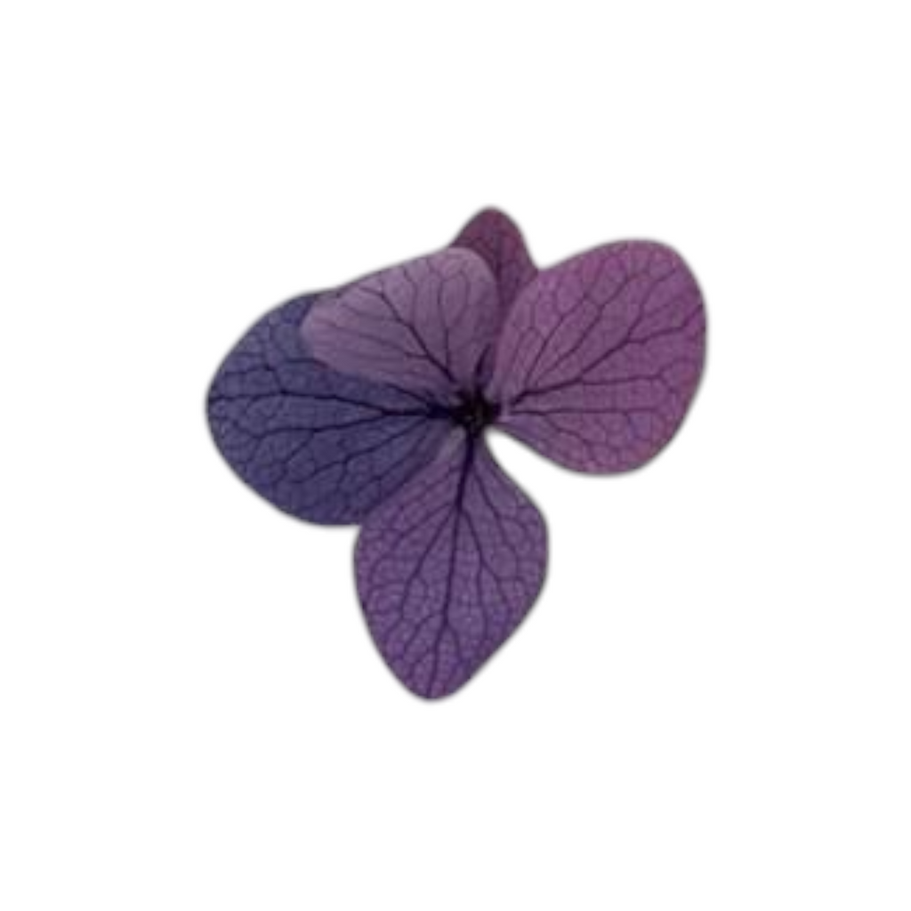 🌸 Kerze – Hortensien | Handgefertigte Designkerze mit Epoxidharz-Schale